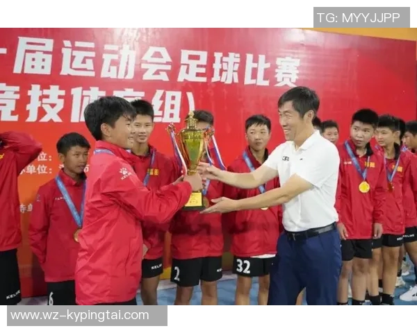 实时新闻深圳足球队实力崛起荣登全国足球实力排行榜第十名